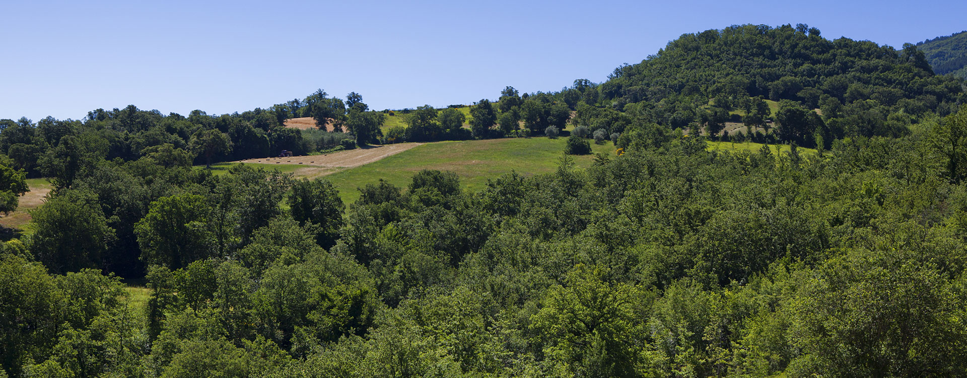 Agriturismo Assisi 'Relais Parco del Subasio' - Foto vetrina 05
